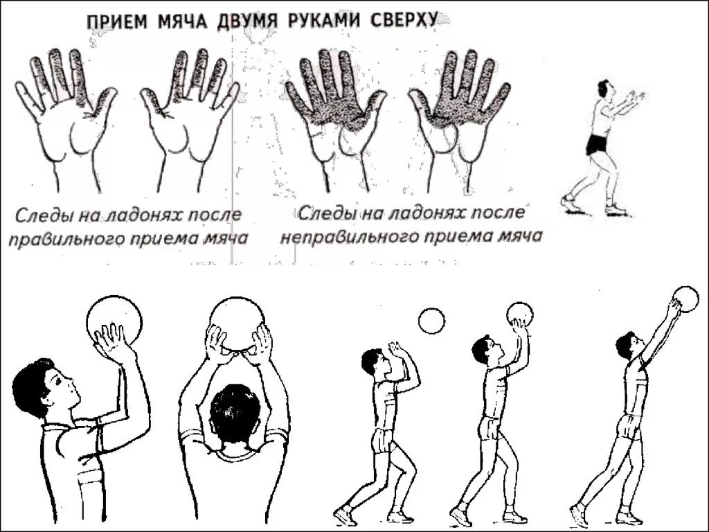 Передача мяча сверху и снизу. Передача мяча сверху в волейболе. Передача мяча сверху двумя руками в волейболе. Прием и передача мяча сверху двумя руками волейбол. Волейбол верхняя передача сверху двумя руками.