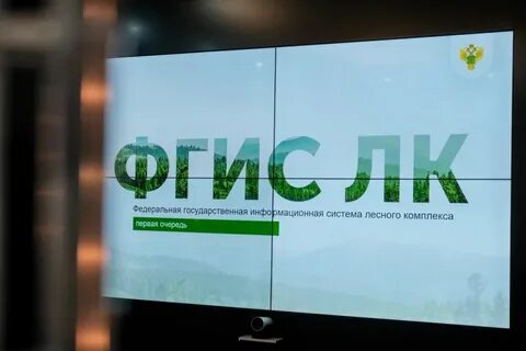 Фгис лк войти