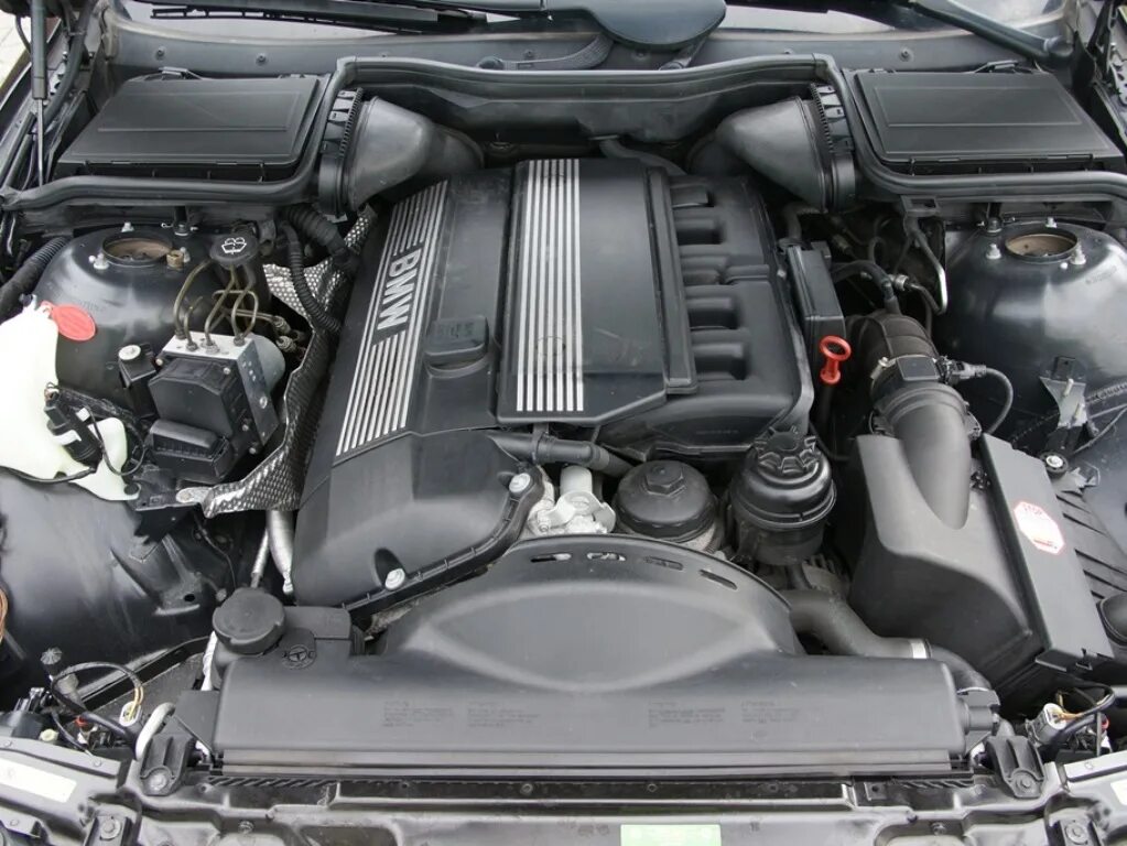 Двигатель х5 е53 3.0. БМВ 520i e39 мотор. БМВ м5 е39 мотор. BMW мотор m54 2.2. E39 BMW мотор.