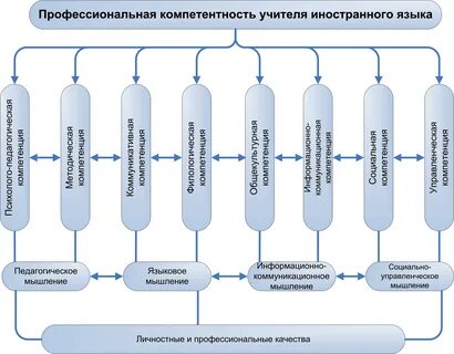 Профессионализмы модели