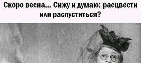 Цитаты про весну. Вот сижу и думаю. Сижу и думаю расцвести или распуститься. Сижу и думаю цитаты. Сижу и думаю расцвести или распуститься.