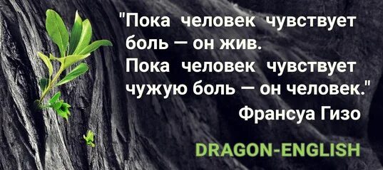 Пока еще мы что то чувствуем. Пока человек чувствует. Пока человек чувствует чужую боль. Пока человек чувствует чужую боль он человек. Человек жив пока он чувствует.