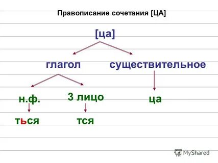 Елей глагол