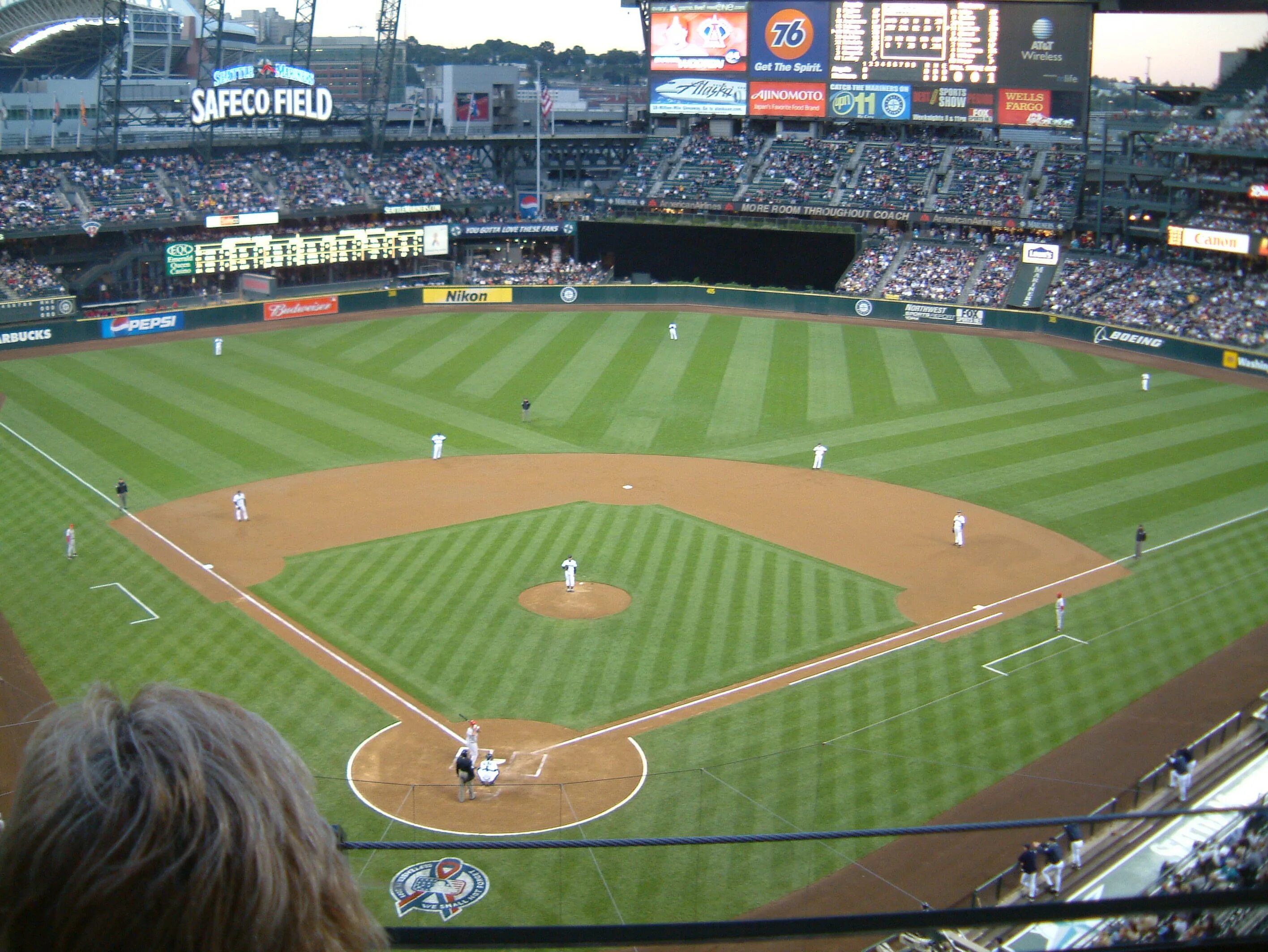 Exceeds field. Baseball field. baseball left field. baseball field background. cat on a baseball field.