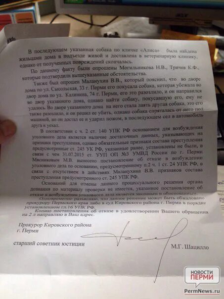 Заявление о нападении собаки. Заявление в полицию о собаках. Исковое заявление на хозяина собаки. Заявление на собаку в полицию. Заявление в полицию о нападении собаки.