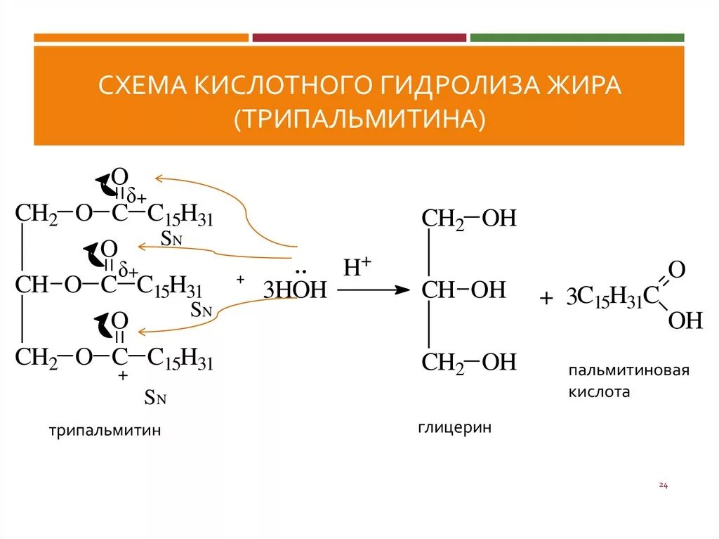 Щелочная среда образуется при гидролизе. Щелочной гидролиз жира трипальмитина. Кислотный и щелочной гидролиз жиров. Щелочной гидролиз трипальмитата глицерина. Кислотный гидролиз пальмитиновой кислоты.