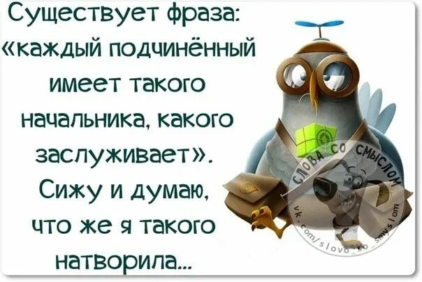 Коллеги работа статусы. Приколы про начальника. статусы про начальника. шутки про начальника. цитаты про начал ников.