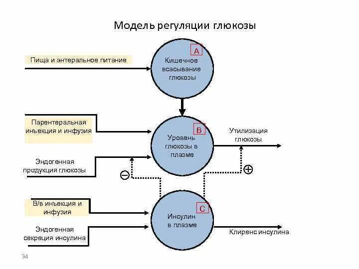 Что такое эндогенное питание. Что такое эндогенное питание