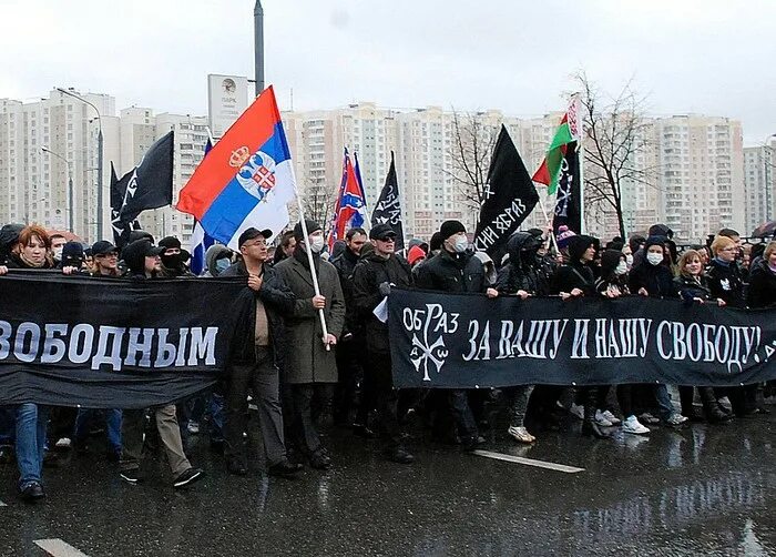 Российские националисты. Националисты в России. Митинги националистов в России. Национализм. Националистические партии в россии