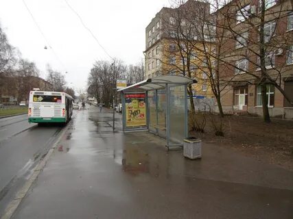 Ост большая
