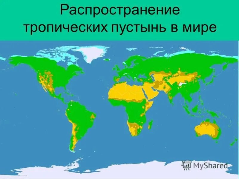 Географическое расположение тропических пустынь 48—6. Биом пустынь: Географическое положение