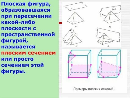Какие из тел являются призмами