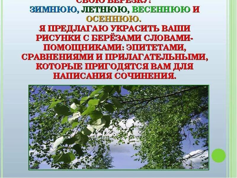 Сочинение на тему русская береза. Рассказ про русскую берёзу. Прилагательные эпитеты к слову береза. Описание березы весной сочинение. Прилагательное к слову береза