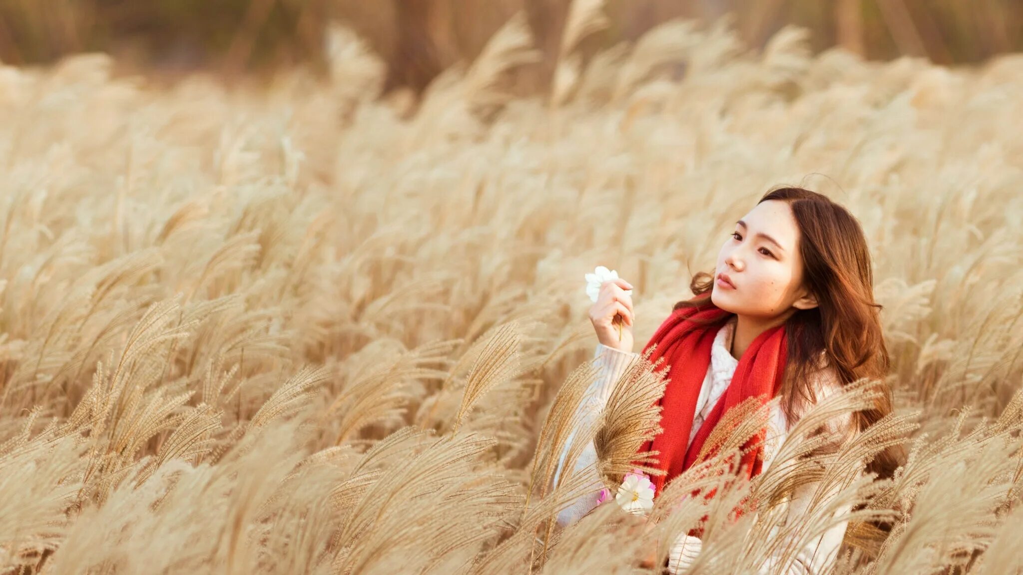 Малыши фотомодели. Девушка 7 раз. Девушки 7/10. Selena gomez. Девушка 7 раз.