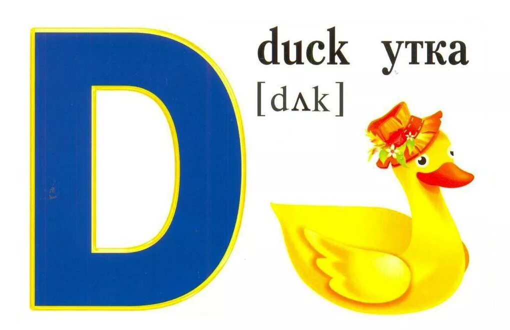 Слово duck. Английские буквы для детей. Английские буквы картинки. Английская буква d. Буквы английского алфавита для детей.