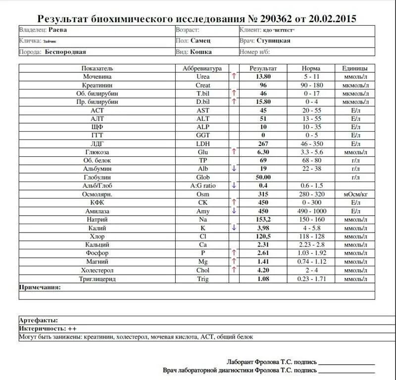 Нормы мочевой кислоты в крови у женщин таблица. Показатели мочевой кислоты в крови норма у мужчин. Мочевая кислота в крови норма у мужчин по возрасту таблица. Мочевая кислота в крови норма у мужчин по возрасту. Как обозначается креатинин в анализе