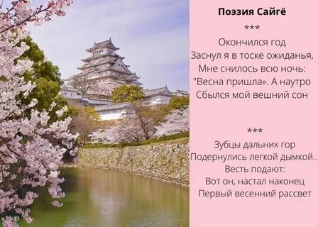 Танка стихи