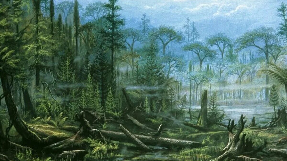 Каменноугольный период палеозойской эры. Карбон период палеозойской эры. Каменноугольный период в истории земли. Каменноугольный период палеозойской эры растения. Каменноугольный период в истории земли.