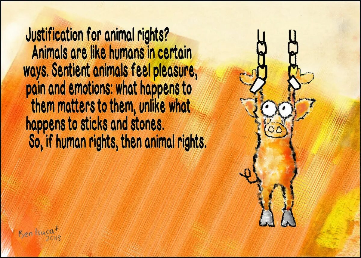 Animal essay. Animal rights. Animals essay.