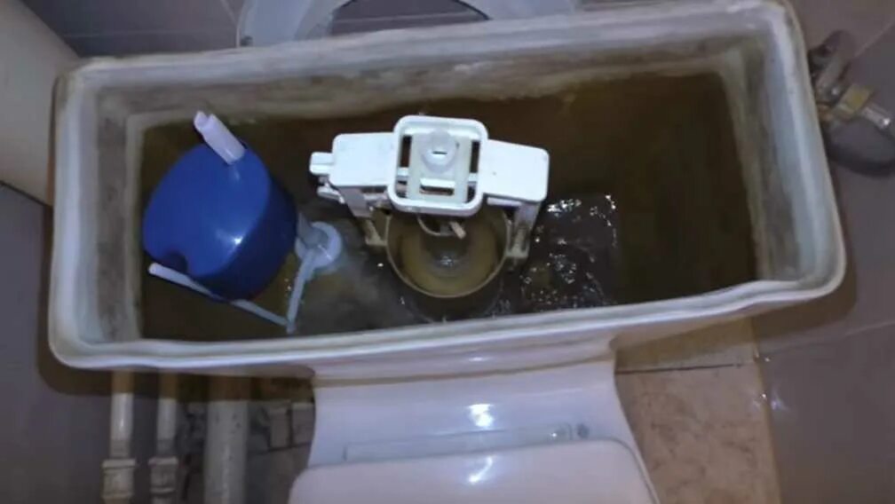 Почему вода в унитазе ниже уровня. Поплавок для унитаза санита. сломался поплавок в унитазе. заглушка в поплавок унитаза. уровень воды в бачке.