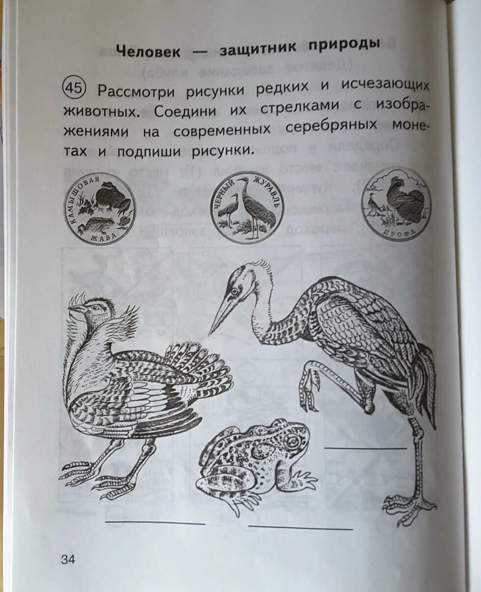 Рассмотри рисунок на котором изображен. Рассмотри рисунок.. Рассмотри изображение редких животных. Рассмотри рисунки редких и исчезающих животных Соедини их. Редкое исчезающее животное рисунок.