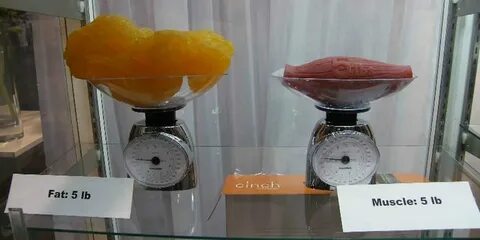 Всего 1 кг