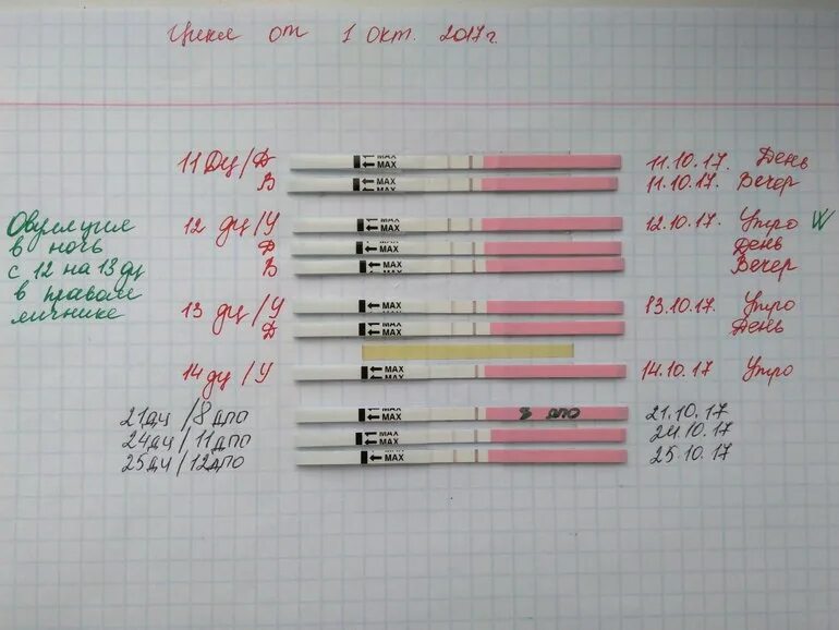 Тест на овуляцию. Полоски на тесте на овуляцию. Тест на овуляцию слабая вторая. Вторая полоска на тесте овуляции. Тест на овуляцию показал беременность до задержки