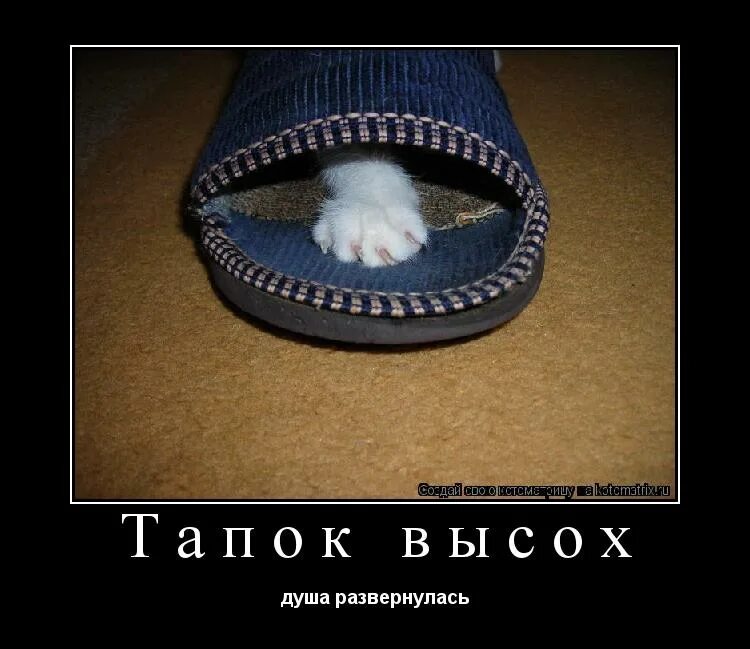 Хитрый тапок. Про тапок. Тапки прикол. Мем тапки кирпичи. Тапок.