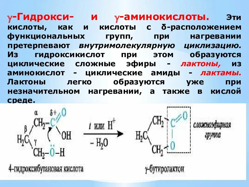 Гидролиз лактида. Получение циклических простых эфиров. Циклические сложные эфиры. Циклические аминокислоты. Циклический сложный эфир гидроксикислоты.