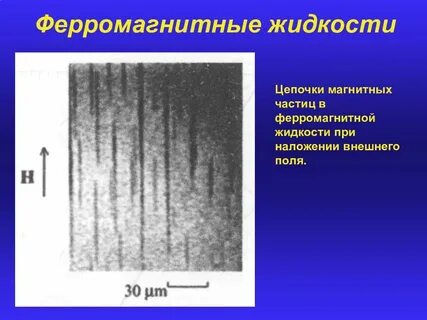 Магнитные частицы