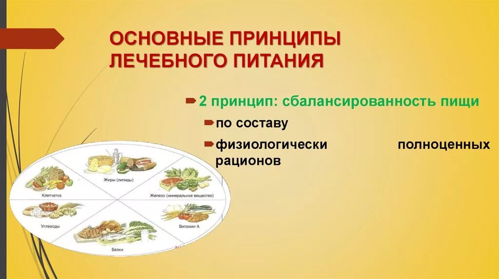 Алгоритм организации питания. Основные принципы построения лечебного питания.. Основные принципы лечебного питания в стационаре. Основной принцип лечебного питания:. Принципы лечебного питания принцип тренировки.