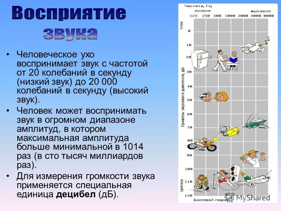 Частота звуковой волны воспринимаемая человеком. Диапазон частот воспринимаемый человеческим ухом. Человеческое ухо воспринимает. Восприятие частоты звука. Частота восприятия частоты человеческим ухом.