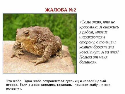 Сама не знаю сколько