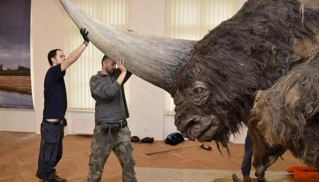 Сибирский Единорог (Elasmotherium). Сибирские шерстистые носороги. Эласмотерий Сибирский. Древний носорог Эласмотерий.