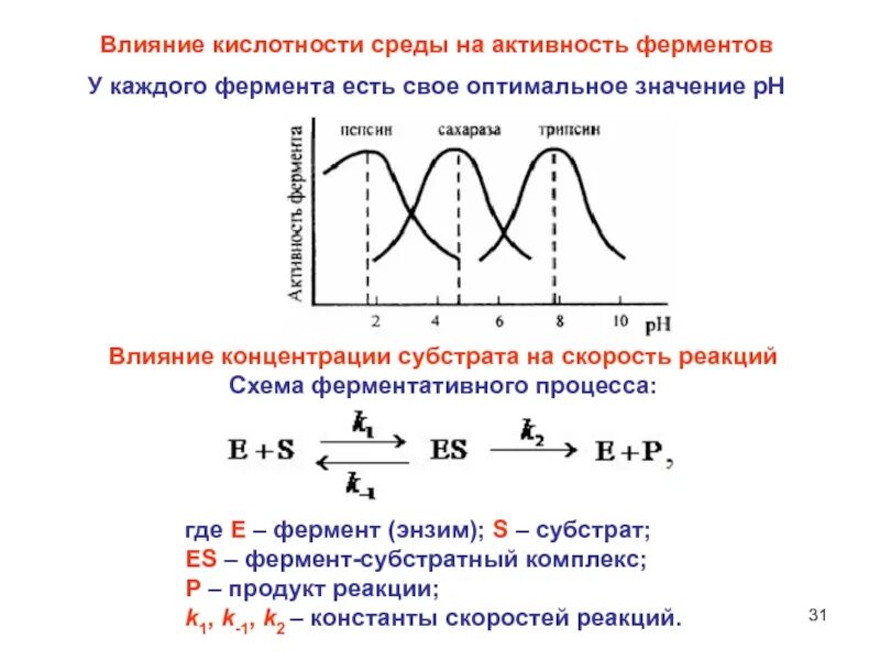 Активность фермента зависит от. График зависимости ферментативной реакции от PH. График зависимости скорости ферментативной реакции от PH среды. График зависимости активности ферментов от РН. График зависимости скорости ферментативной реакции от PH.