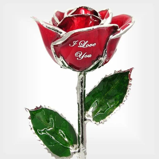 Цветы i love you. Цветы розы красные. Романтические цветы. I rose. Красные розы фон.