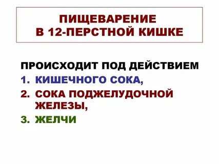 Двенадцатиперстная кишка пищеварительные соки