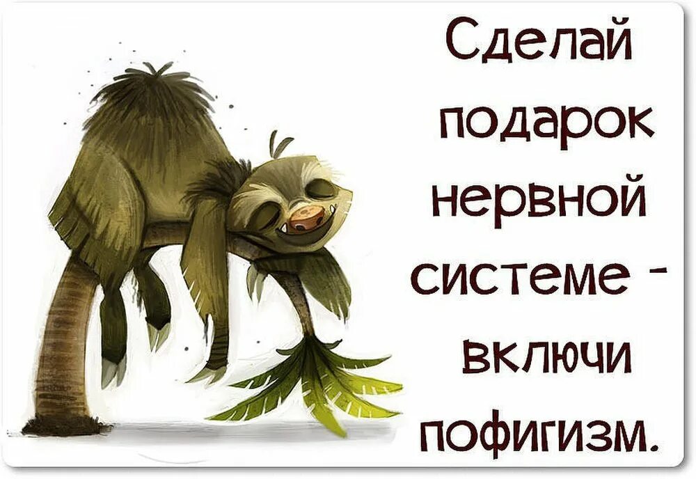 Замечательно что делаем. Сделай подарок нервной системе включи пофигизм. Здоровый пофигизм. Смешные цитаты про пофигизм. Шутки про нервную систему.