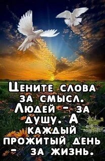 Душа живет 4 жизни