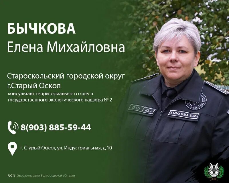 Куприенко экоохотнадзор. Управление экоохотнадзор белгород. Сычев максим анатольевич экоохотнадзор. Куприенко экоохотнадзор. Экоохотнадзор белгород.