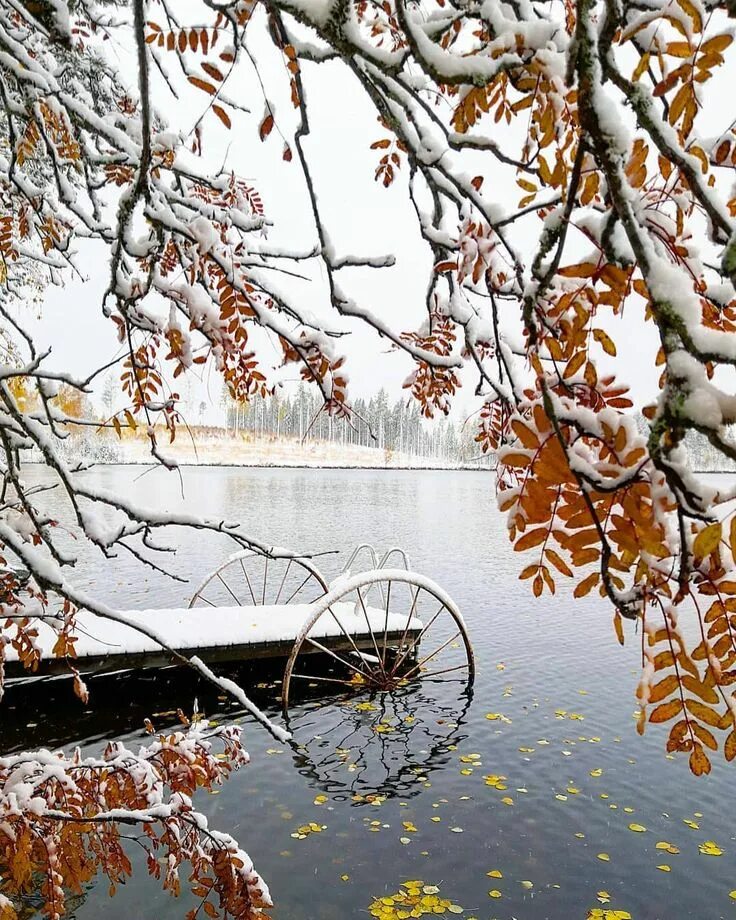 Осень первый снег. Ноябрь природа. Встреча зимы с осенью. Осень и зима встретились. Встреча осени с зимой.