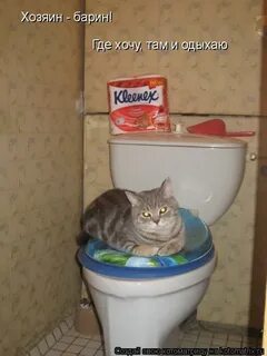 Где хочу там и хожу