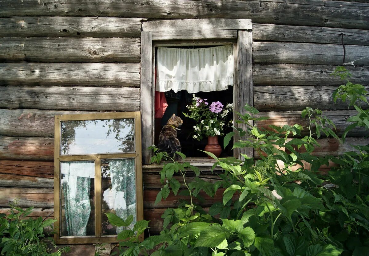 Летняя наша жизнь в старом доме. Окно в деревне. Деревенский домик. Окно в деревенском доме. Окна деревенский домик.