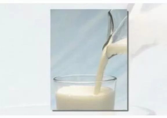 Памятка вегетарианство. Анкетирование вегетарианство. Виды питания вегетарианство. Почему веганы не пьют. Почему веганы не пьют.