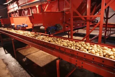 Предприятия перерабатывающие сельскохозяйственную продукцию
