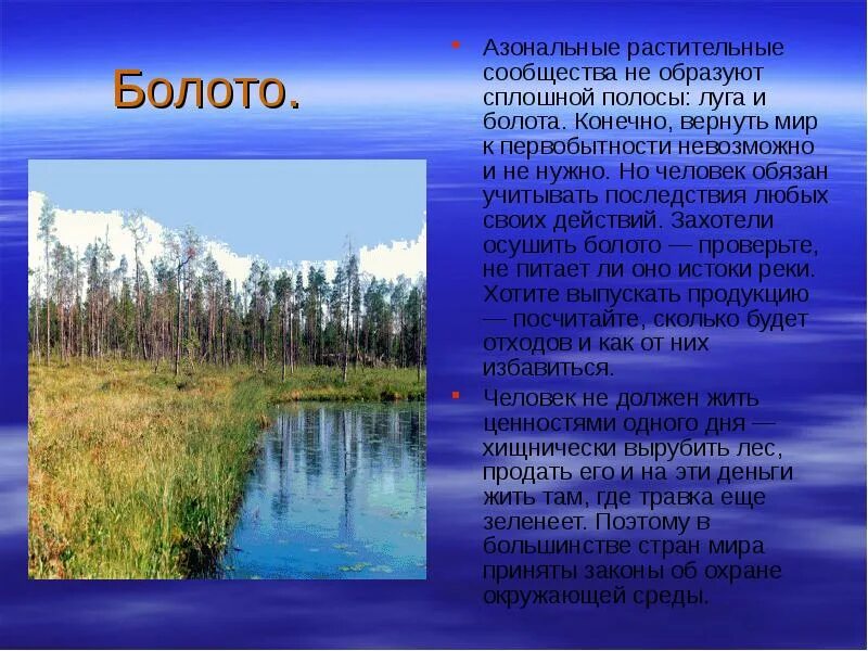 Водные богатства московской области окружающий мир. Растительное сообщество болота. Водные богатства Московской области. Сообщество болота презентация. Растительные сообщества.