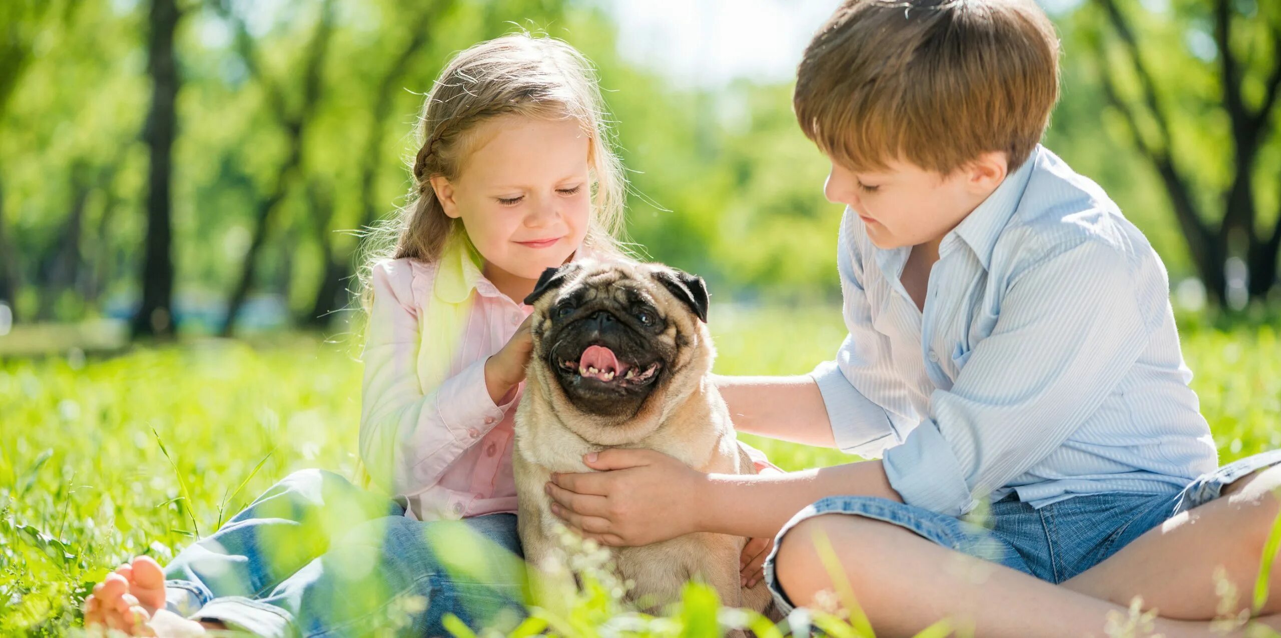 Together pet. Собака для детей. Мальчик и собака парк. Счастливый ребенок с собакой. Мальчик с собакой в парке.