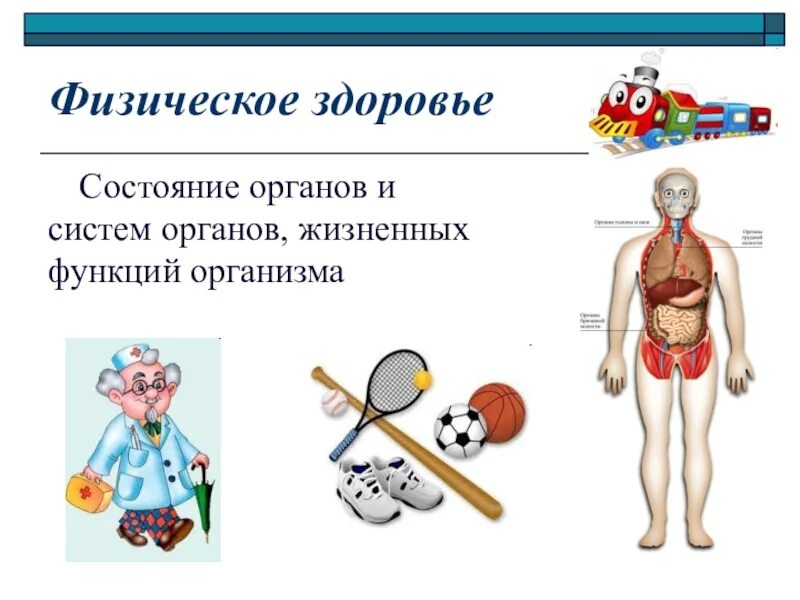 Текущее состояние органов и систем организма. Текущее состояние органов и систем организма