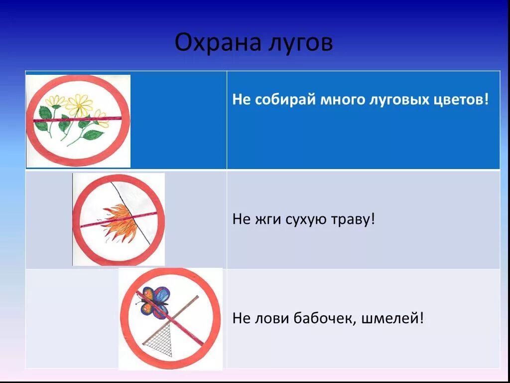 Луга в каком знаке. Охрана лугов. охрана сообщества луг. знаки охраны лугов. охрана природного сообщества луга.