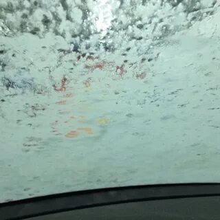 Мокрое нижнее